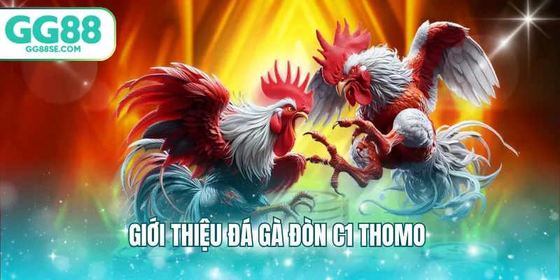 Giới thiệu đá gà đòn c1 thomo 