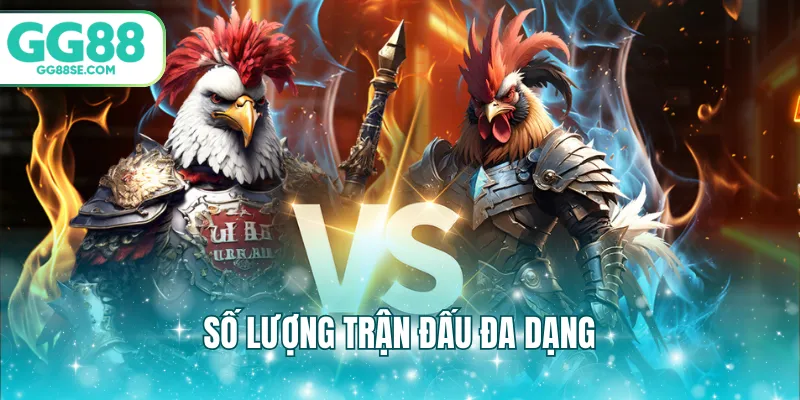 Số lượng trận đấu đa dạng